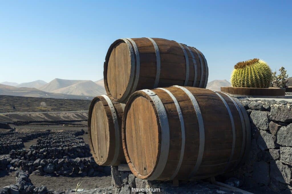 Lanzarote Wine Season
