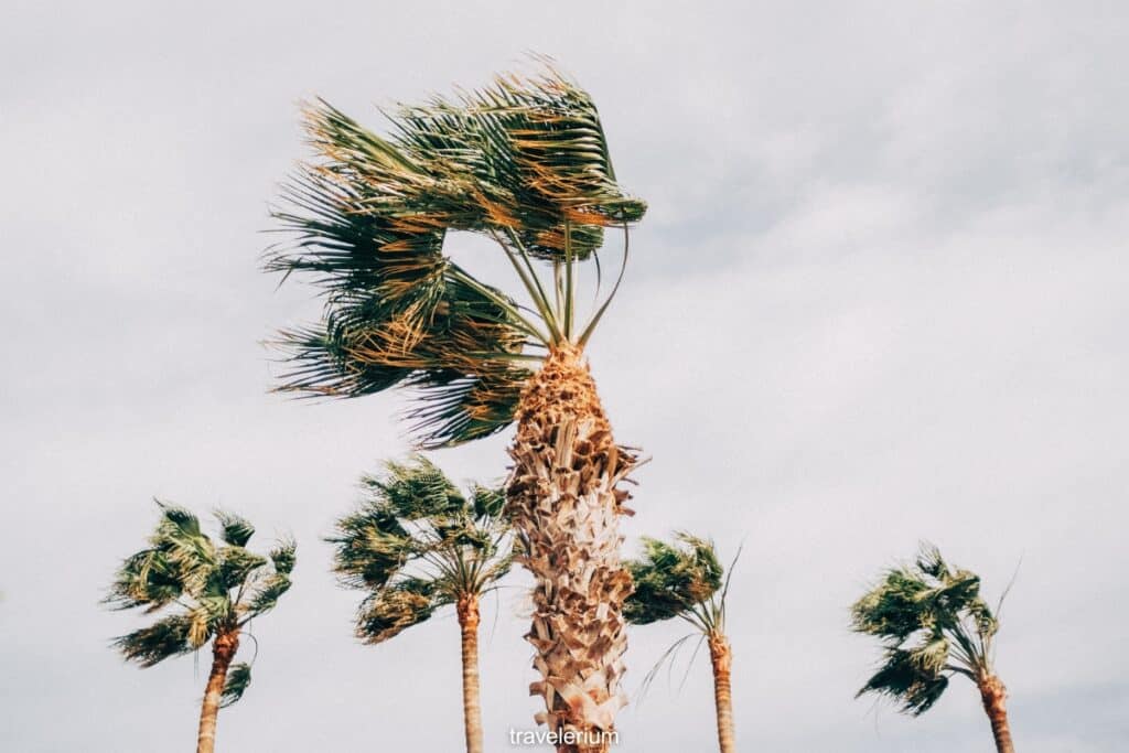 Windy Lanzarote
