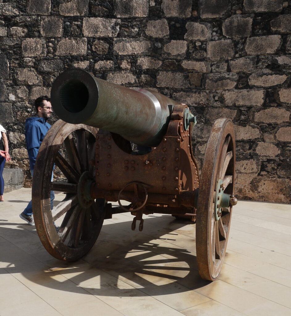 Canon outside castle Jan 2026